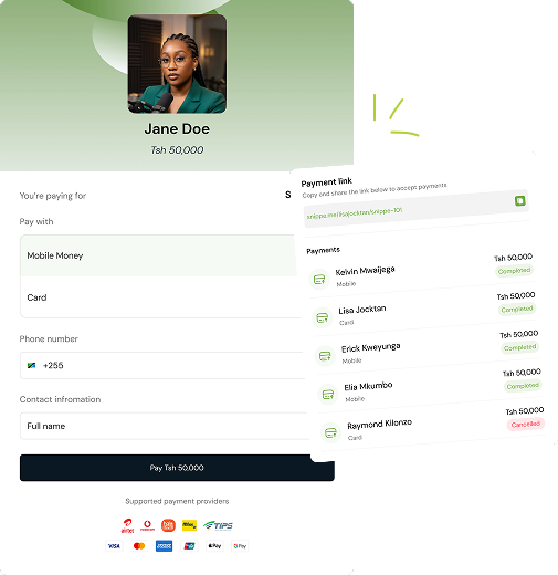 Snippe payment link preview