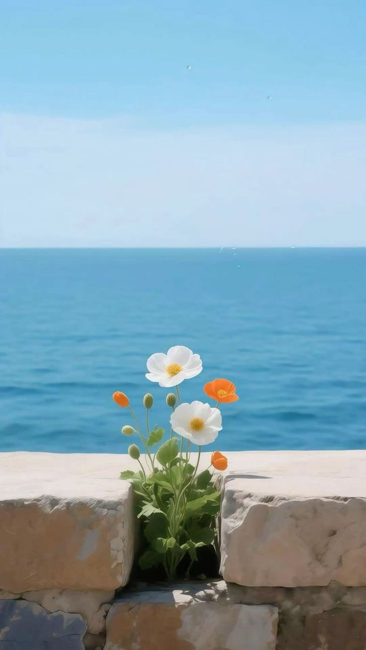 Beach photography print